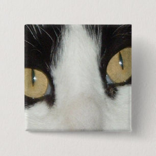 Cat Eyes Button