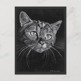 Cat Face Gezeichnet von Mark Edward Westerfield Postkarte