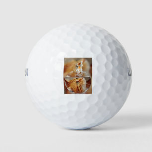 Cat Face Goldfish glass close Up view eyes Golfball