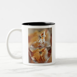 Cat Face Goldfish glass close Up view eyes Zweifarbige Tasse