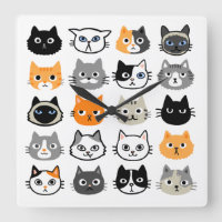 Cat Faces | Niedliche, lustige und annoyed Katzen