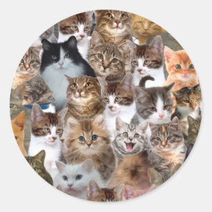 Cat Faces Pattern Runder Aufkleber