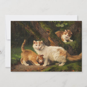 Cat Family Playing Julius Adam the Younger