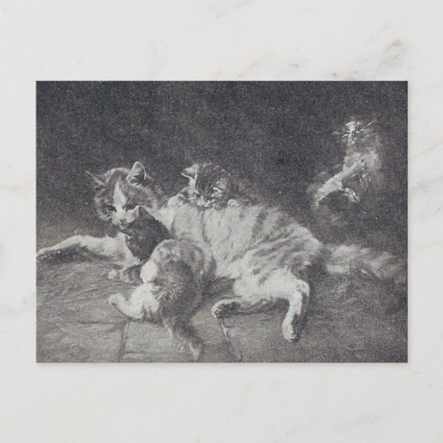 Cat Family Postkarte (Vorderseite)