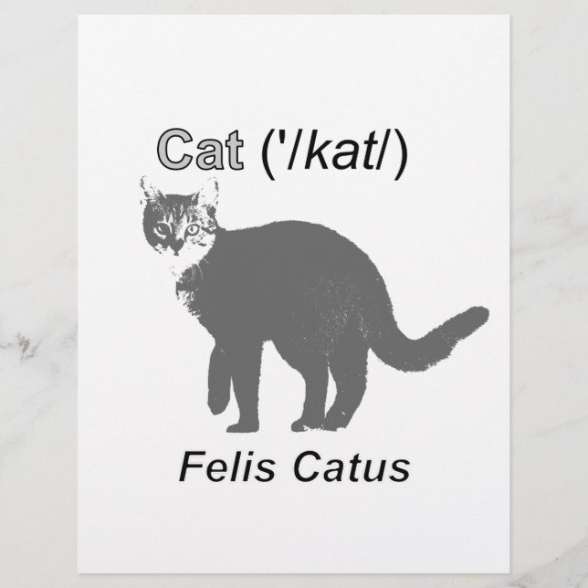 Cat Felis Catus (Vorderseite)