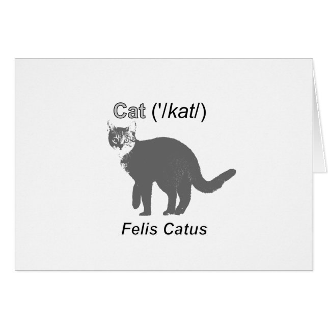 Cat Felis Catus (Vorderseite (Horizontal))