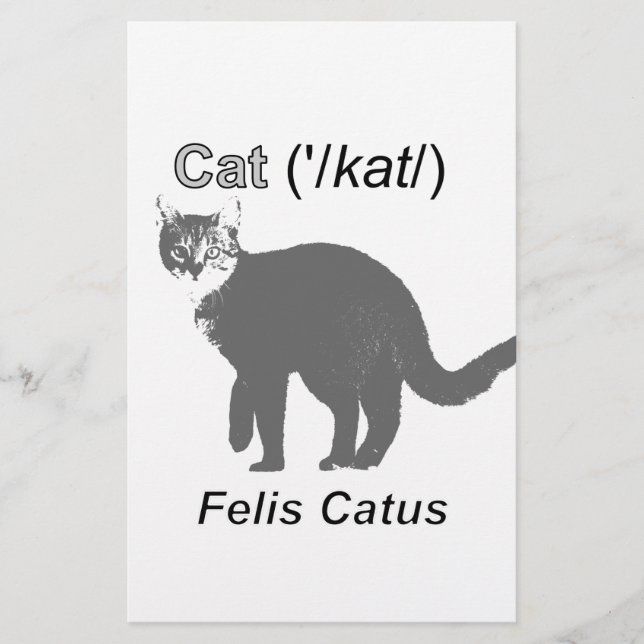 Cat Felis Catus Briefpapier (Vorderseite)