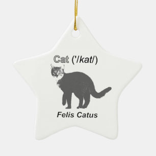 Cat Felis Catus Keramik Ornament