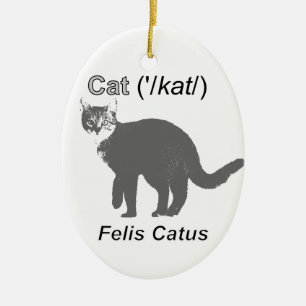 Cat Felis Catus Keramikornament