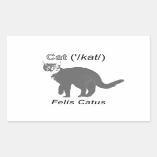 Cat Felis Catus Rechteckiger Aufkleber