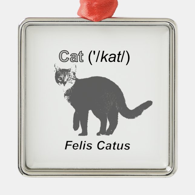 Cat Felis Catus Silbernes Ornament (Vorne)
