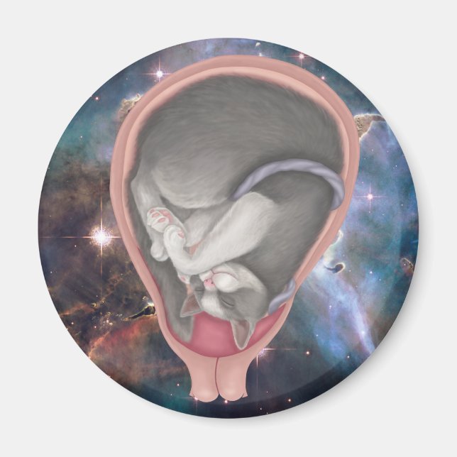Cat Fetus Magnet (Vorne)