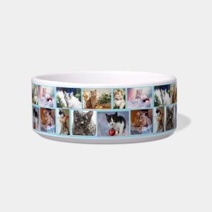 Cat Food Bowl Cite Napf