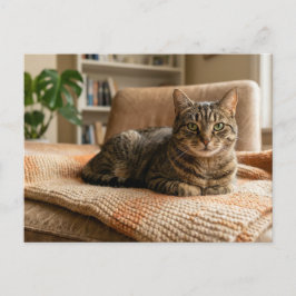 Cat Forever Home Announcement Postkarte