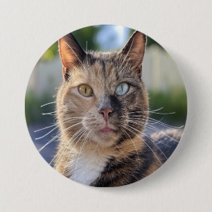 Cat-Foto anpassen hinzufügen Button