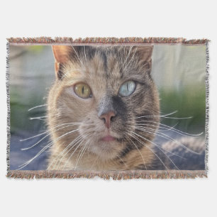 Cat-Foto anpassen hinzufügen Decke