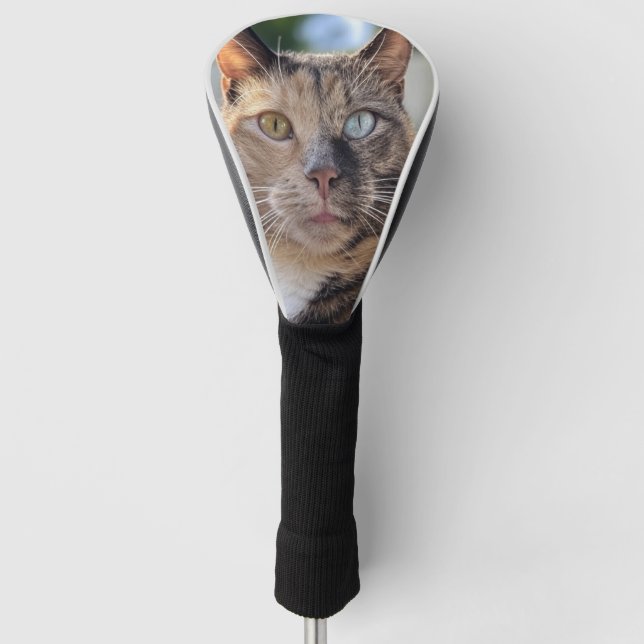 Cat-Foto anpassen hinzufügen Golf Headcover (Vorderseite)