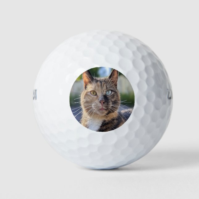Cat-Foto anpassen hinzufügen Golfball (Vorderseite)