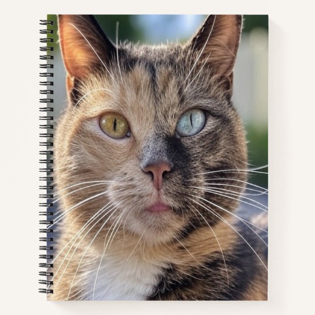 Cat-Foto anpassen hinzufügen Notizbuch (Vorderseite)