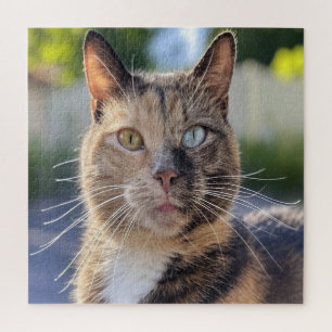 Cat-Foto anpassen hinzufügen Puzzle