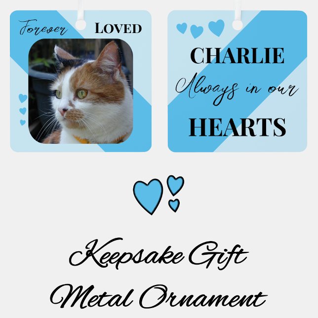 Cat Foto Beileid Keepake Pet Memorial Blau Ornament Aus Metall (Von Creator hochgeladen)