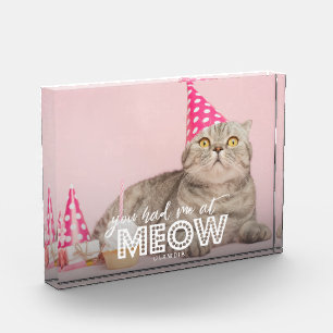 Cat Foto Block Du hattest mich in Meow