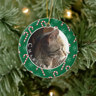 Cat Foto Candy Canes Rahmen Green Ornament