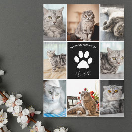 Cat Foto Collage in Love Memory Custom Card