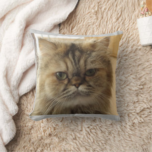 CAT-FOTO CUSTOM-Kissen Kissen