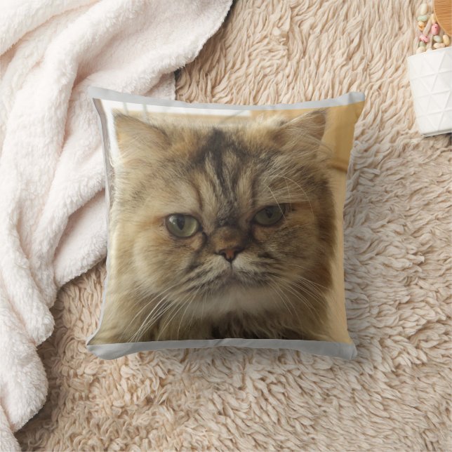CAT-FOTO CUSTOM-Kissen Kissen (Decke)