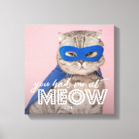 Cat Foto | Du hattest mich bei MEOW Custom