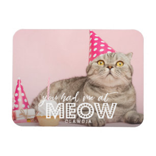 Cat Foto   Du hattest mich in Meow Magnet