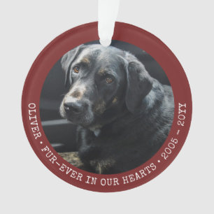 Cat-Foto für Haustiere für immer Personalisiert Ornament