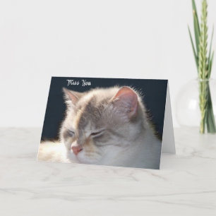 Cat Foto Grußkarte Karte