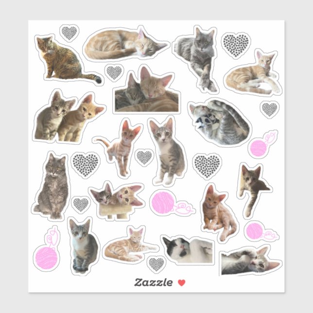 Cat Foto Kiss-Cut Vinyl Stickers Aufkleber (Blatt)