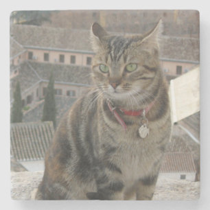 Cat Foto Marble Stone Untersetzer