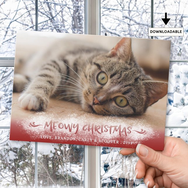 Cat Foto MEOWY CHRISTMAS Schneerot Feiertagskarte (Von Creator hochgeladen)