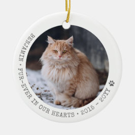 Cat Foto Pet Passende Memorial Personalisiert Keramik Ornament