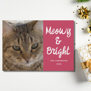Cat Foto Pink Meowy und Helle Weihnachten