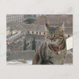 Cat Foto Postkarte