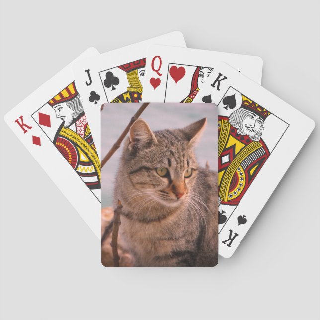 Cat Foto Spielkarten (Rückseite)
