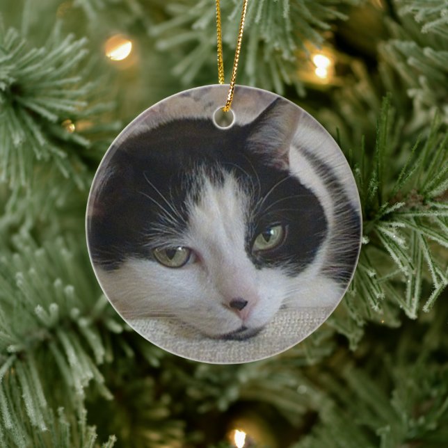 Cat Foto Weihnachten Keramik Ornament (Baum)
