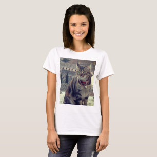 Cat Foto Women's Basic T - Shirt, White T-Shirt