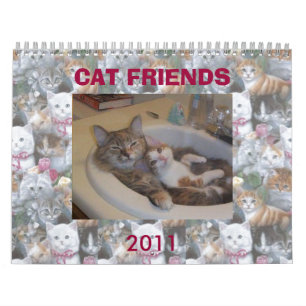 CAT-FREUNDE AUS DEM INTERNET KALENDER