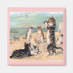 Cat Fun im Beach Magnet