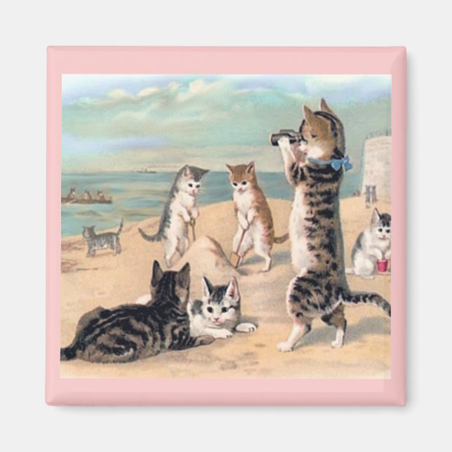 Cat Fun im Beach Magnet (Vorne)