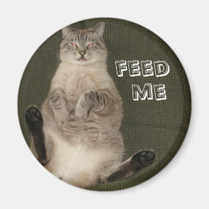 Cat "FÜTTRE ME" Round Magnet