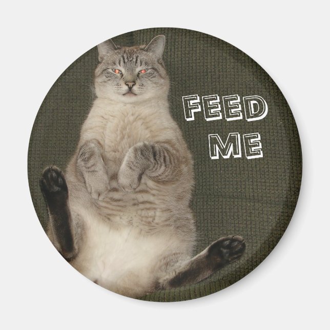 Cat "FÜTTRE ME" Round Magnet (Vorne)