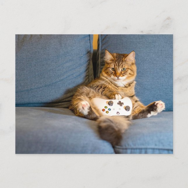 Cat Gamer Postcrosser Postkarte (Vorderseite)