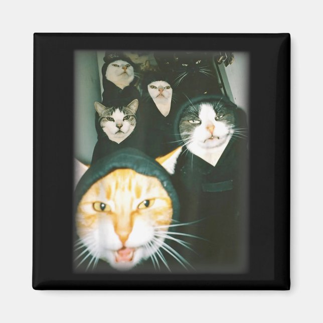 Cat Gang Meme Funny Chaotic Cats Unhinged Feline H Magnet (Vorne)